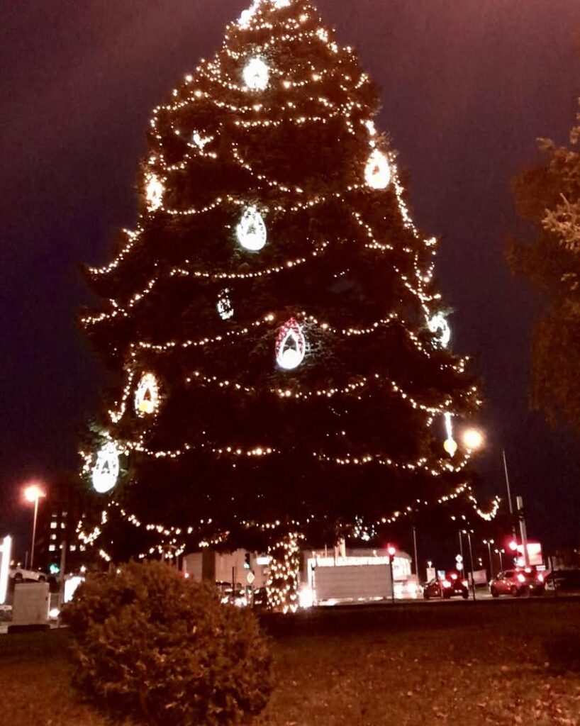 Décoration du sapin de Noël du magasin Maty Besançon
