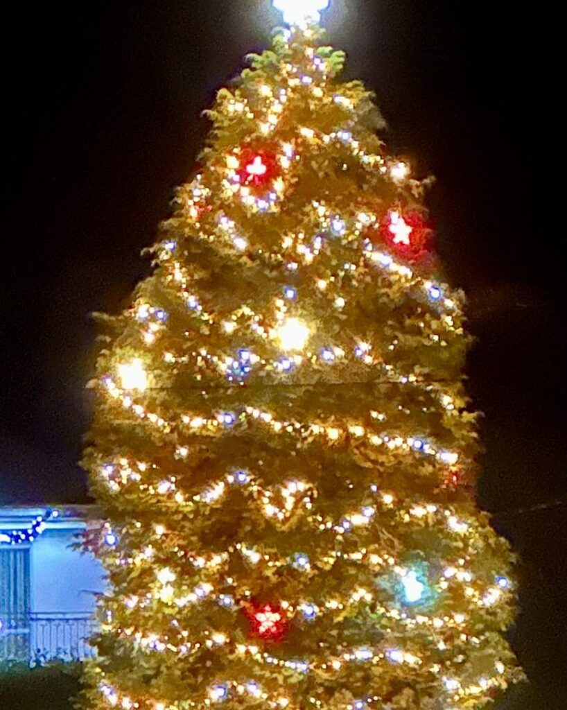 Décoration de sapin de Noël naturel chez un particulier
